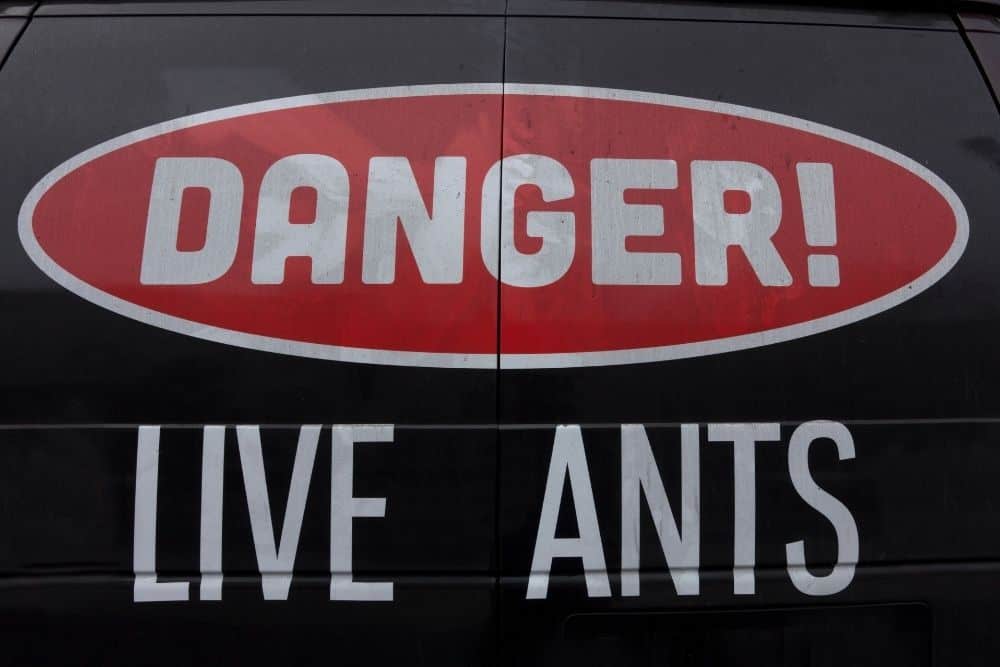 Danger Live Ants Sign